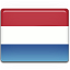 Online Surveys Netherlands